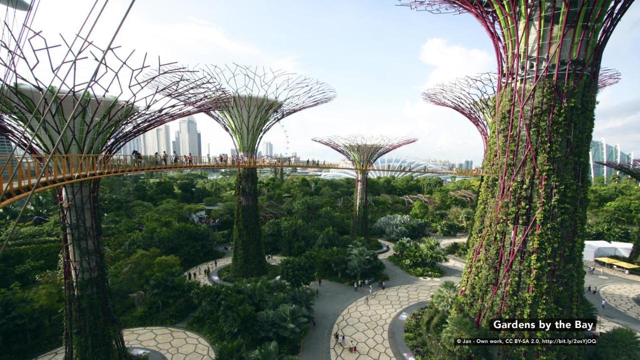 Zen Hostel Race Course Rd Singapur Zewnętrze zdjęcie